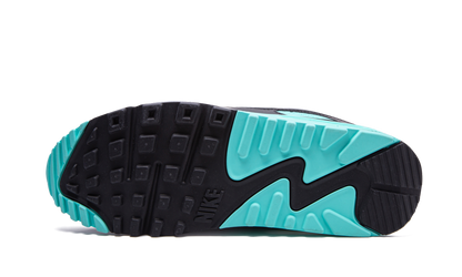 Air Max 90 "Turquoise" CD0881 100