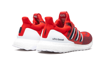 Ultraboost 2.0 DNA X PE "Brentwood Academy" FZ5487