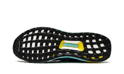 UltraBoost 1.0 DNA "Aqua ZX 8000" H05263