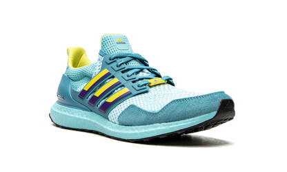 UltraBoost 1.0 DNA "Aqua ZX 8000" H05263