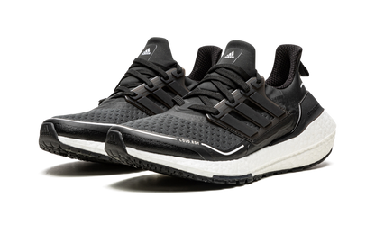 Ultraboost 21 C.RDY "Black Carbon" FZ2558