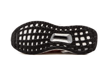 ULTRABOOST WMNS "Salmon" S80686