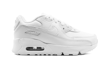 Air Max 90 CD6867 100