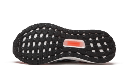 ULTRABOOST 19 WMNS "Coral Blue" G27482