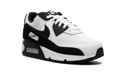 Air Max 90 "Panda" CN8490 101