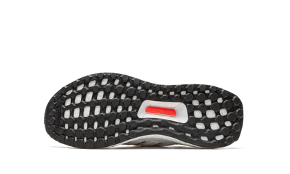 Ultraboost 5.0 DNA GS "White Black" GX2562