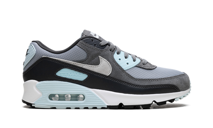 Air Max 90 "Pumice" DM0029 009