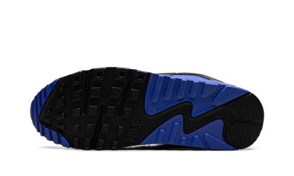 Air Max 90 "Hyper Royal" DM0029 112