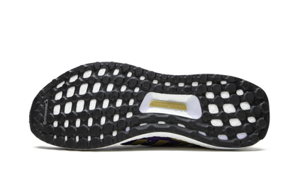 UltraBOOST x UW "Washington Huskies" FV0282