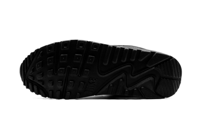 Air Max 90 "Iron Grey" CN8490 002