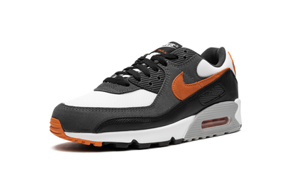 Air Max 90 "Starfish" DM0029 101