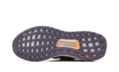 Ultraboost 1.0 Wmns "Wonder Orchid" ID9680