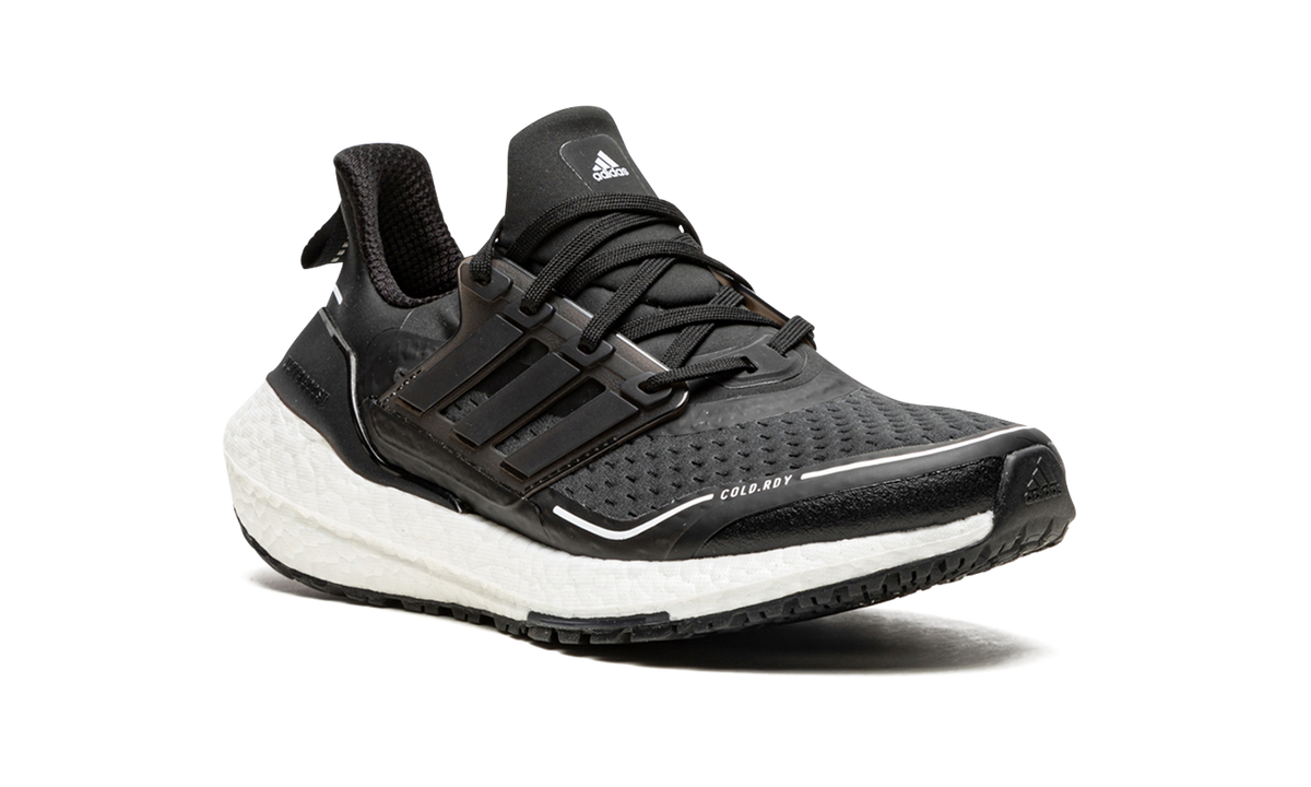 Ultraboost 21 C.RDY "Black Carbon" FZ2558
