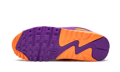 Air Max 90 "Viotech" CD0917 600