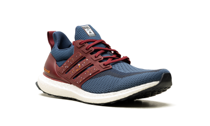 Ultraboost DNA CTY "Manila" FZ4861