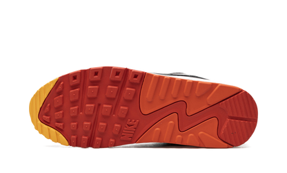 Air Max 90 "Raygun" DJ9250 001