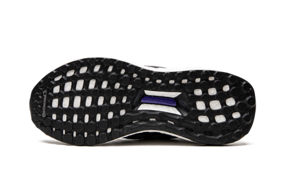 ULTRABOOST S&L DNA WMNS "Jordan E Moss" FZ2917