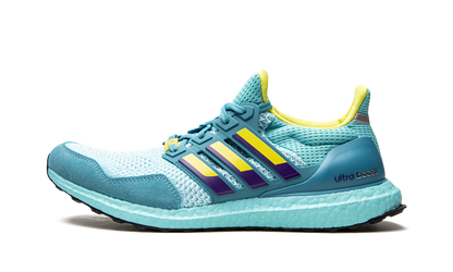 UltraBoost 1.0 DNA "Aqua ZX 8000" H05263