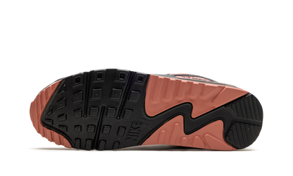 Air Max 90 "Ironstone Red Stardust" DM0029 105