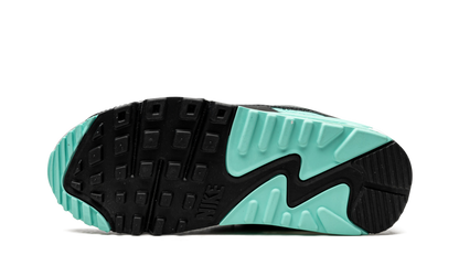 AIR MAX 90 WMNS "Turquoise" CD0490 104