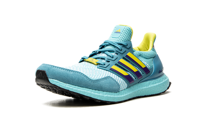 UltraBoost 1.0 DNA "Aqua ZX 8000" H05263