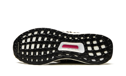 Ultraboost DNA "Animal Pack-Zebra" FZ2730