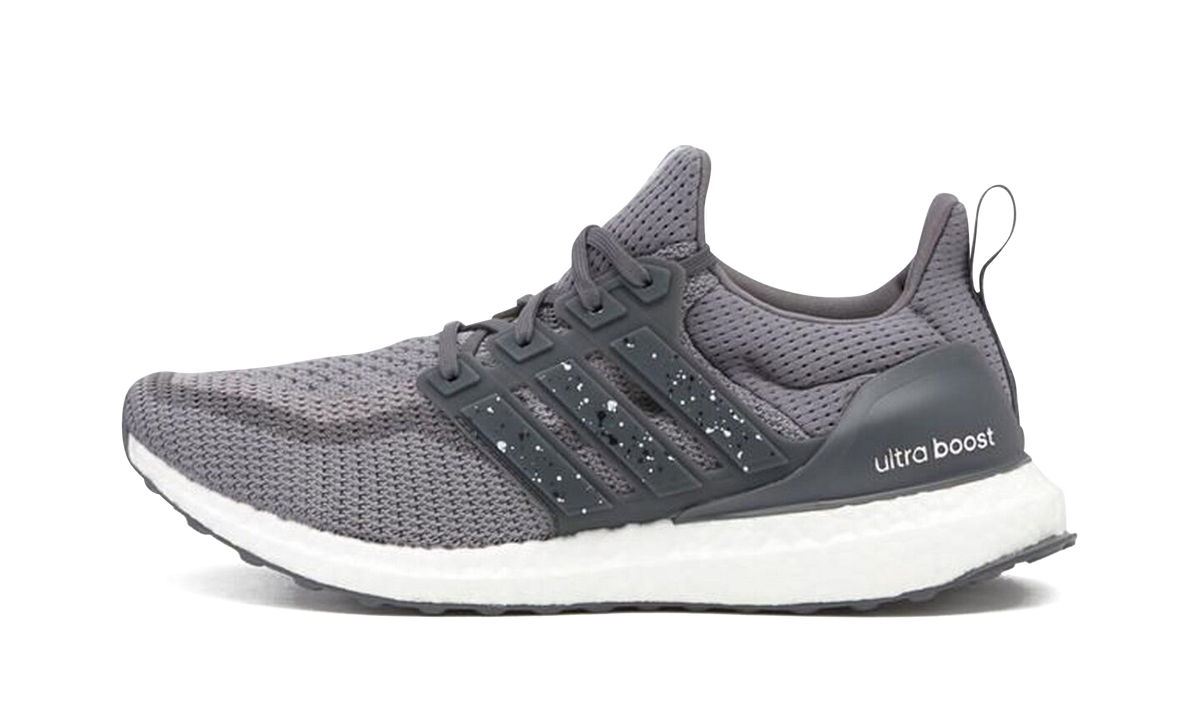 Ultraboost DNA CTY "Tokyo" FZ4858